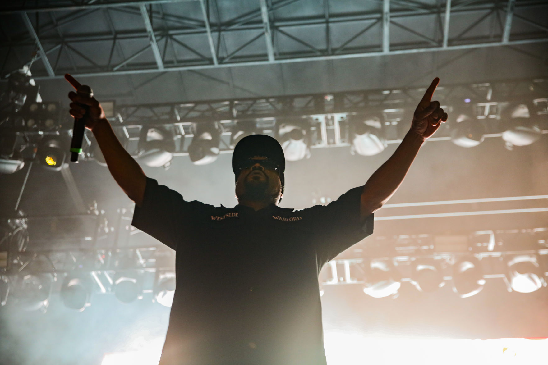 Ice Cube concert ParkJam 2019 - Kristin Lee (14 of 15).jpg
